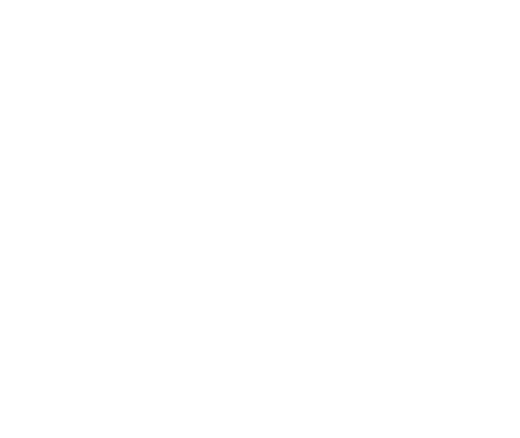 Triple F Elite Sports Training